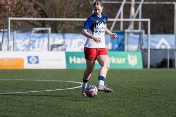 Bild 164 - wBJ Hamburger SV - Hertha BSC : Ergebnis: 2:1